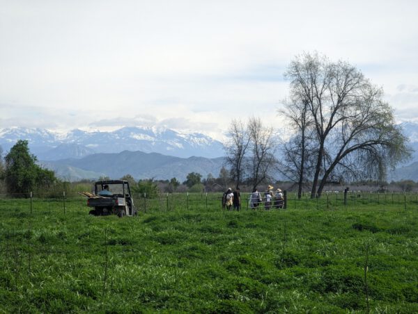 a grassy field with trees and a crew of people with an ATV as well as snow covered mountains in the background
